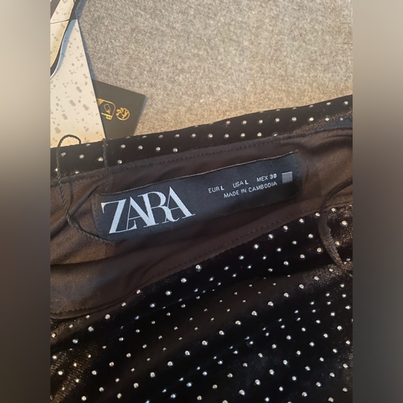 Zara Studded Asymmetrical Velvet Dress - Picture 8 of 8